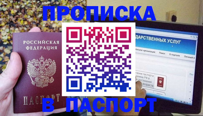 временная регистрация госуслуги в Петропавловске-Камчатском